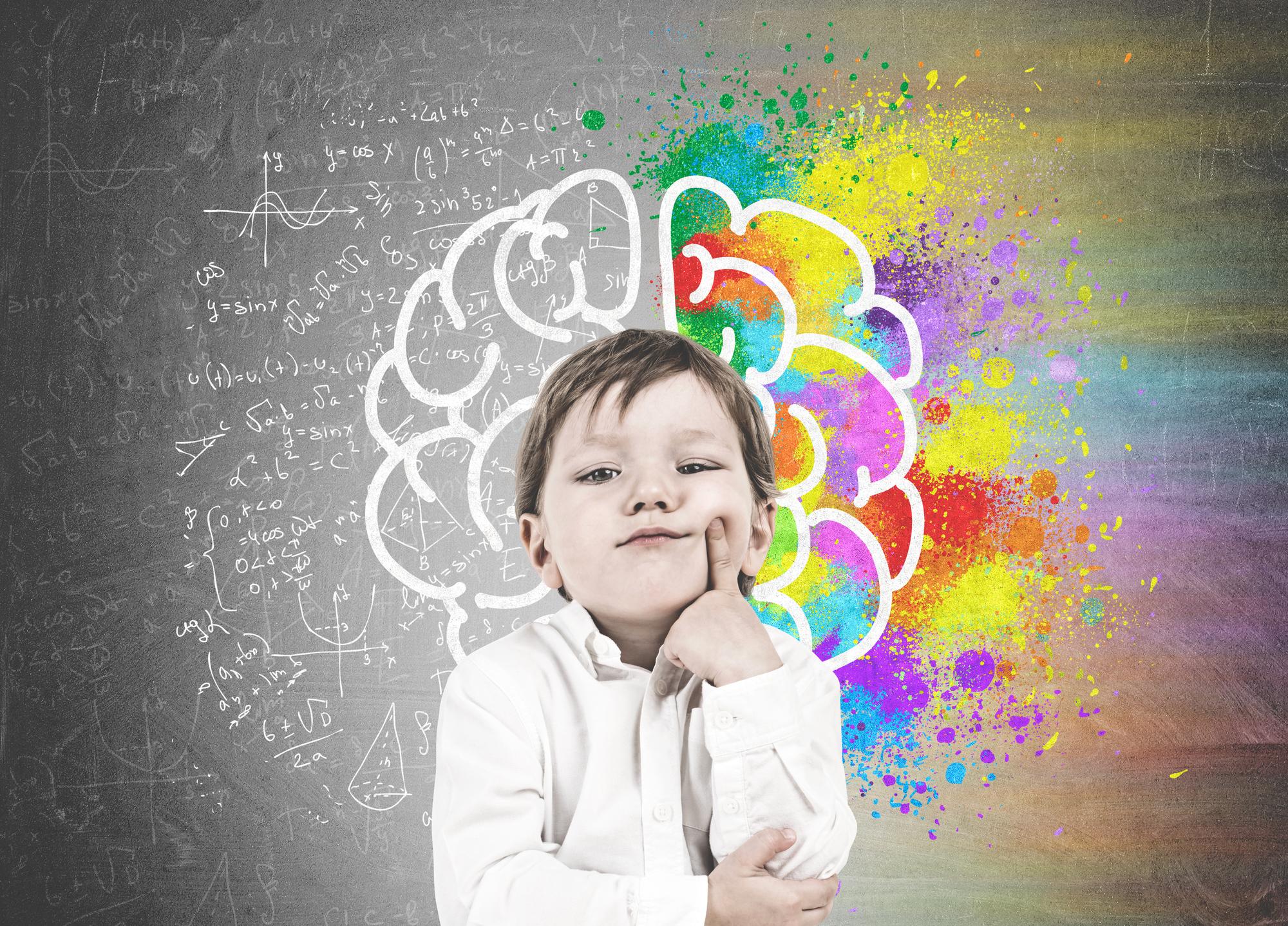 Desarrollo del cerebro