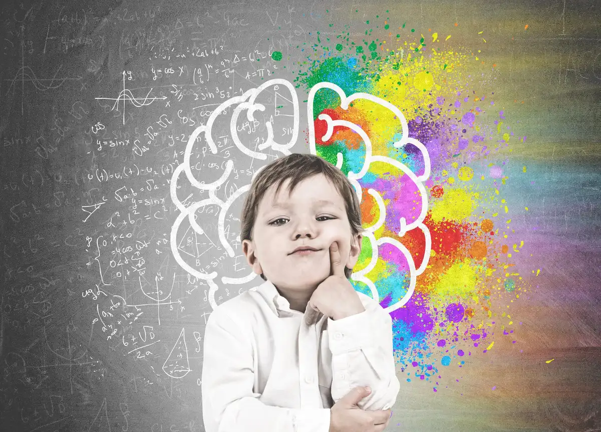 Desarrollo del cerebro