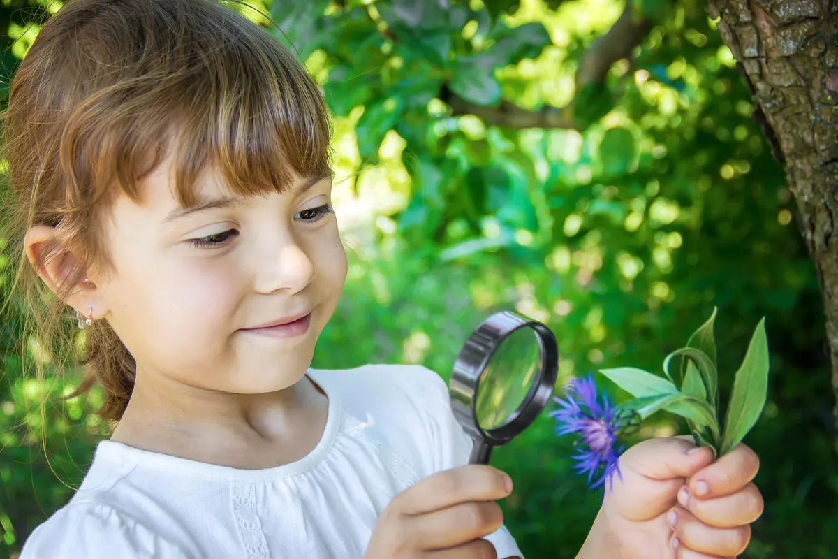 Inteligencia naturalista de 6 a 7 años: cómo estimularla en casa